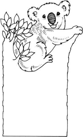 Koala On The Tree  Coloring Page